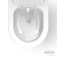 MEWATEC EasyUp Basic Dusch WC Komplettanlage wandhängend